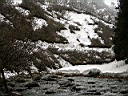2007-04-05 020.JPG